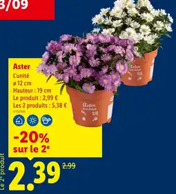 Lidl Aster offre