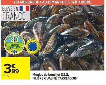Moules de bouchot S.T.G.