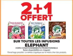 Carrefour Market ELEPHANT Infusions offre
