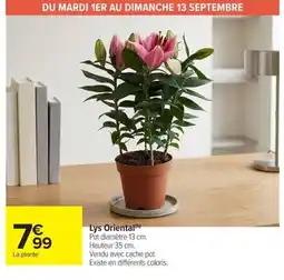 Carrefour Market Lys Oriental offre