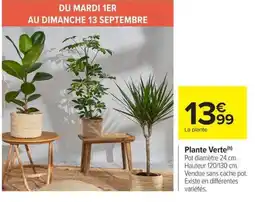 Carrefour Market Plante Verte offre