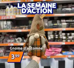 Action Gnome d'automne offre