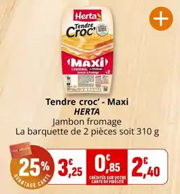 Coccinelle Express HERTA Tendre croc' offre