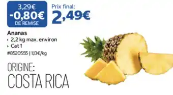 Costco Ananas offre