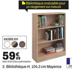 BUT Mayence Bibliothèque offre