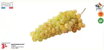 RAISIN CHASSELAS AOP