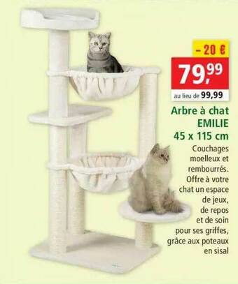 Promo L Arbre A Chat Evolutif Chez Centrakor