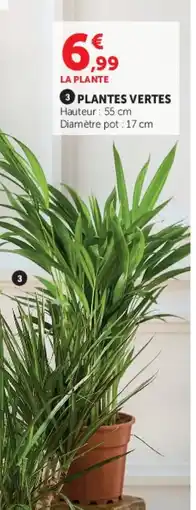 Hyper U Plantes vertes offre
