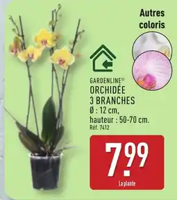 ALDI GARDENLINE ORCHIDÉE offre