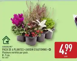 ALDI GARDENLINE PACK DE 6 PLANTES «JARDIN D'AUTOMNE» offre