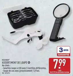 ALDI MAGINON ASSORTIMENT DE LOUPE offre