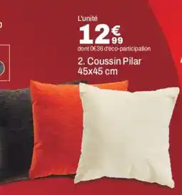 BUT Coussin Pilar offre