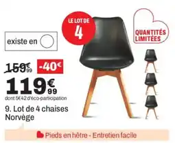BUT Norvège chaises offre