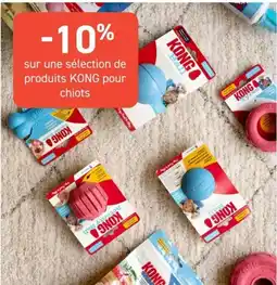 Tom&Co KONG produits pour chiots offre