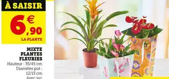 Super U Mixte plantes fleuries offre