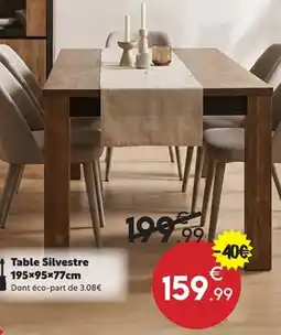 Maxi Bazar Table silvestre offre