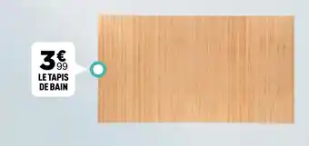 LE TAPIS DE BAIN