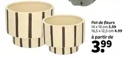 Wibra Pot de fleurs offre