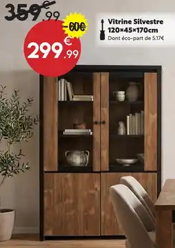 Maxi Bazar Vitrine silvestre offre