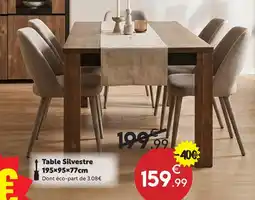 Maxi Bazar Table silvestre offre