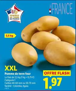Lidl Pomme de terre four offre
