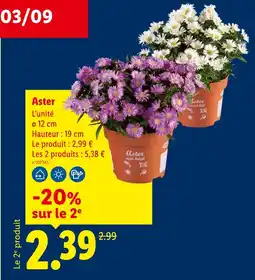 Lidl Aster offre