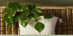 Maisons du Monde Cache-pot offre
