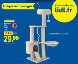 Lidl Zoofari - airbe à chat offre