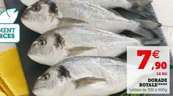 Super U Dorade royale offre