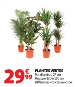 Auchan PLANTES VERTES offre