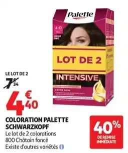 Auchan Palette COLORATION offre