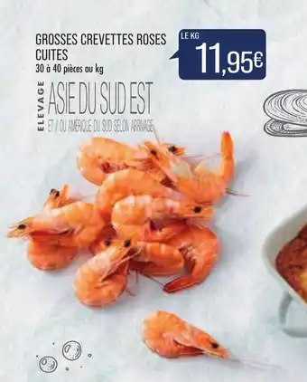 Match Grosses crevettes roses cuites offre