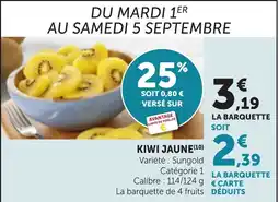 Bi1 KIWI JAUNE offre