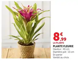 Bi1 LA PLANTE offre