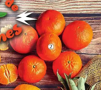 Colruyt Mandarine bio variété villas offre