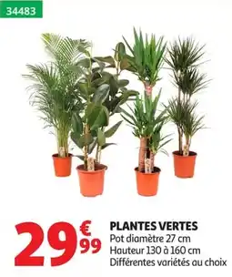 Auchan PLANTES VERTES offre