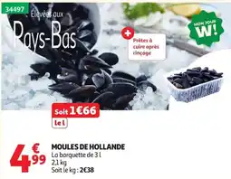Auchan MOULES DE HOLLANDE offre