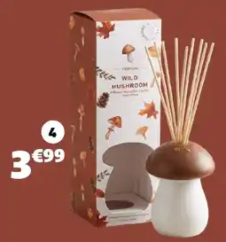 GiFi WILD MUSHROOM offre
