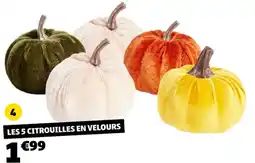 GiFi LES 5 CITROUILLES EN VELOURS offre