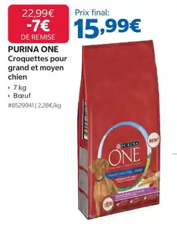 Costco PURINA ONE Croquettes pour grand et moyen chien offre