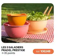 Stanhome PRADEL PRESTIGE LES 3 SALADIER offre
