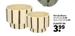 Wibra Pot de fleurs offre