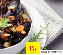 Intermarché Moule d'espagne offre