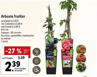Lidl Arbuste Fruitier offre
