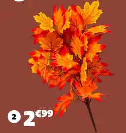 GiFi Fleur piquet offre