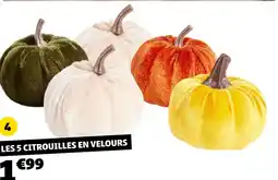 GiFi 5 citrouilles en velours offre
