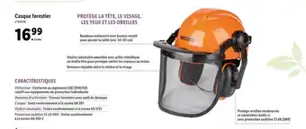 Lidl Casque Forestier offre