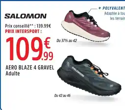 Intersport Salomon aero blaze 4 gravel adulte offre