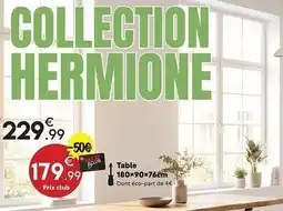 Maxi Bazar Table offre