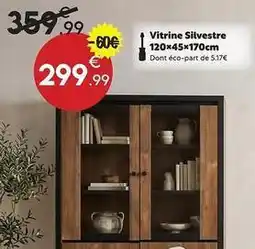 Maxi Bazar Vitrine silvestre 120x45x170cm offre